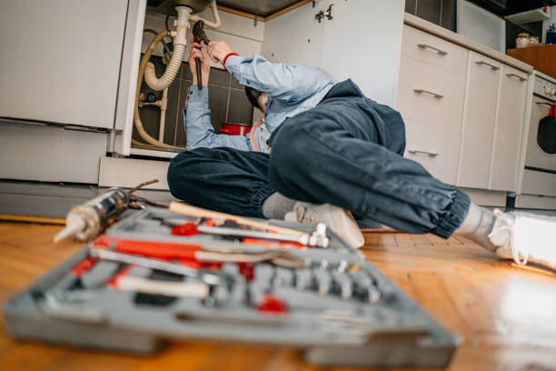 Best Toilet Repair Services  in Pigeon, MI