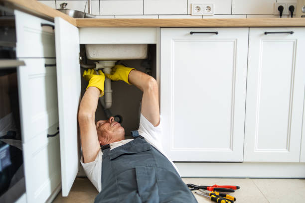 Best Local Plumber Services  in Pigeon, MI